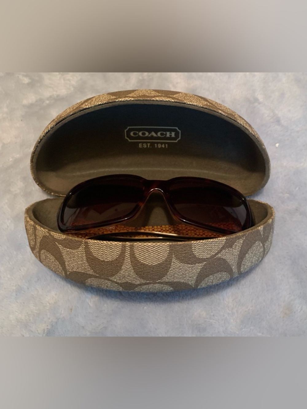 Coach Sunglasses HC8024 L900 Delphine